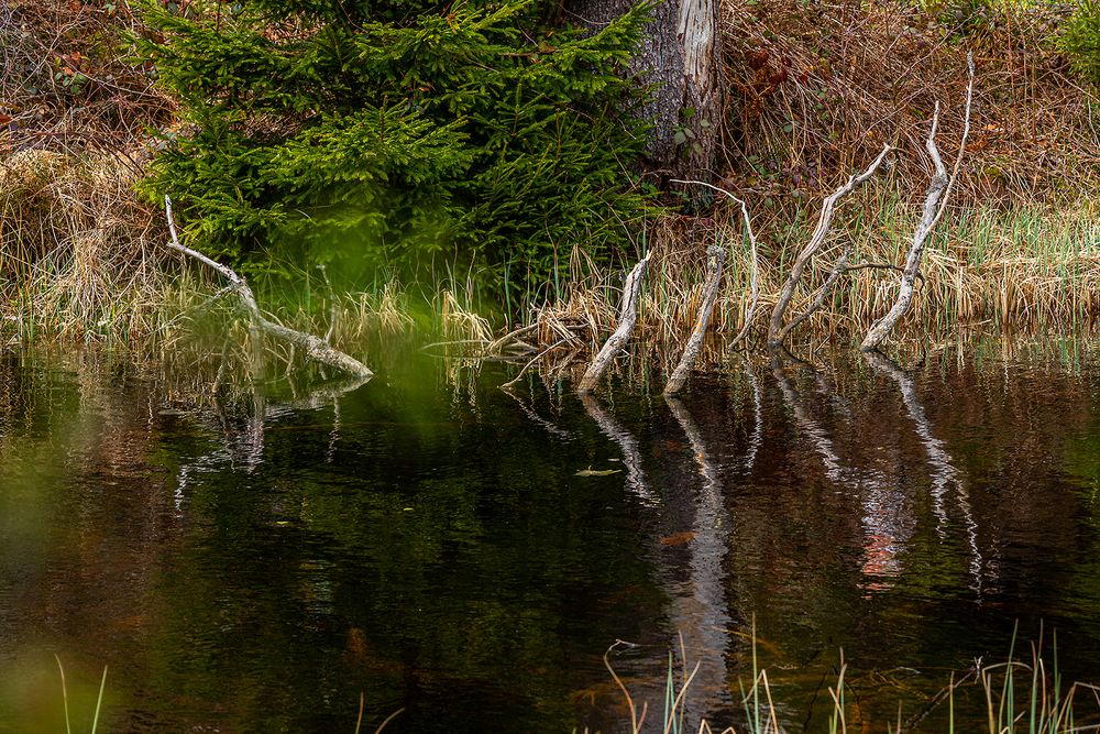 Geheimnisvoller Karsee