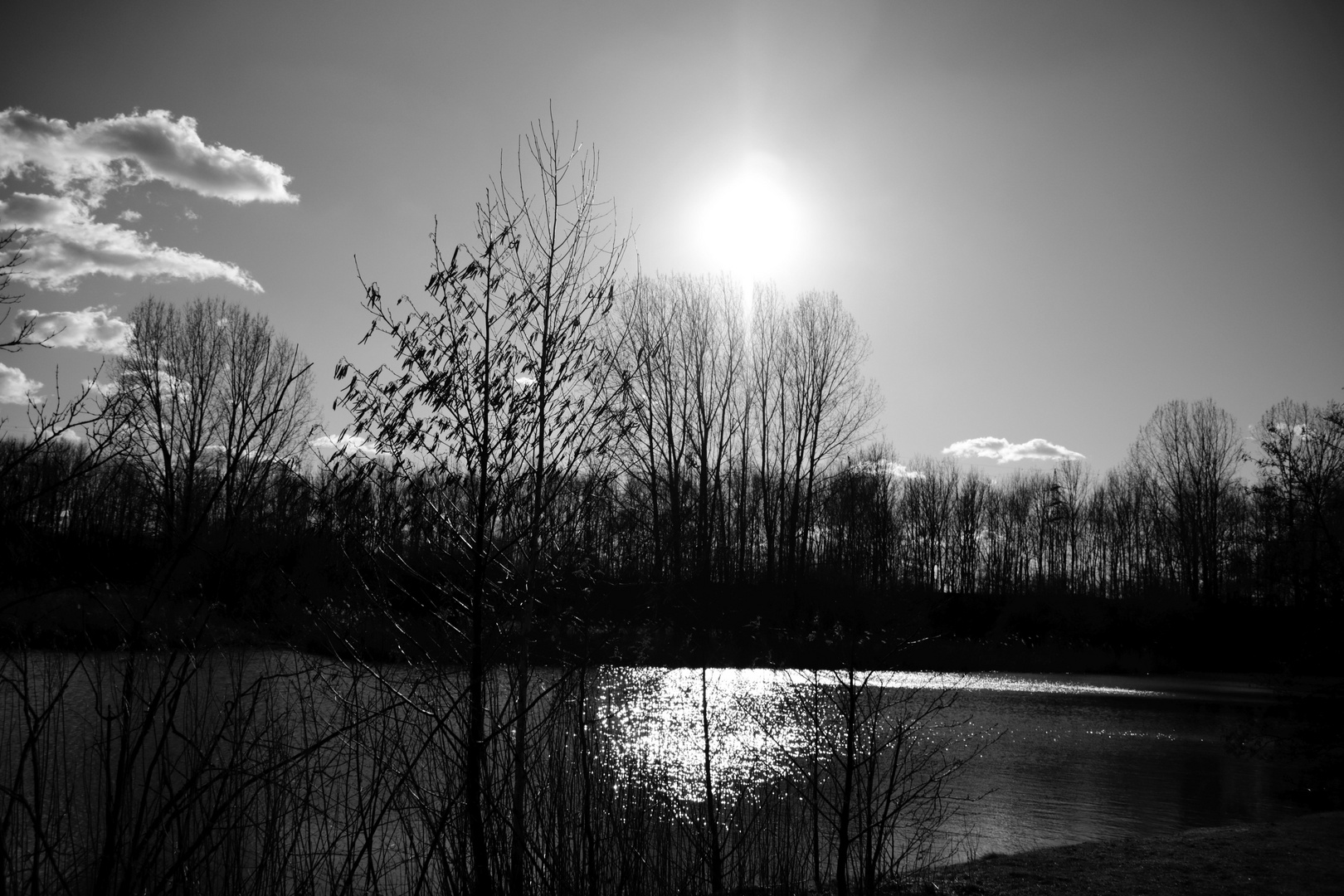 Geheimnisvoller Nachmittag am See.