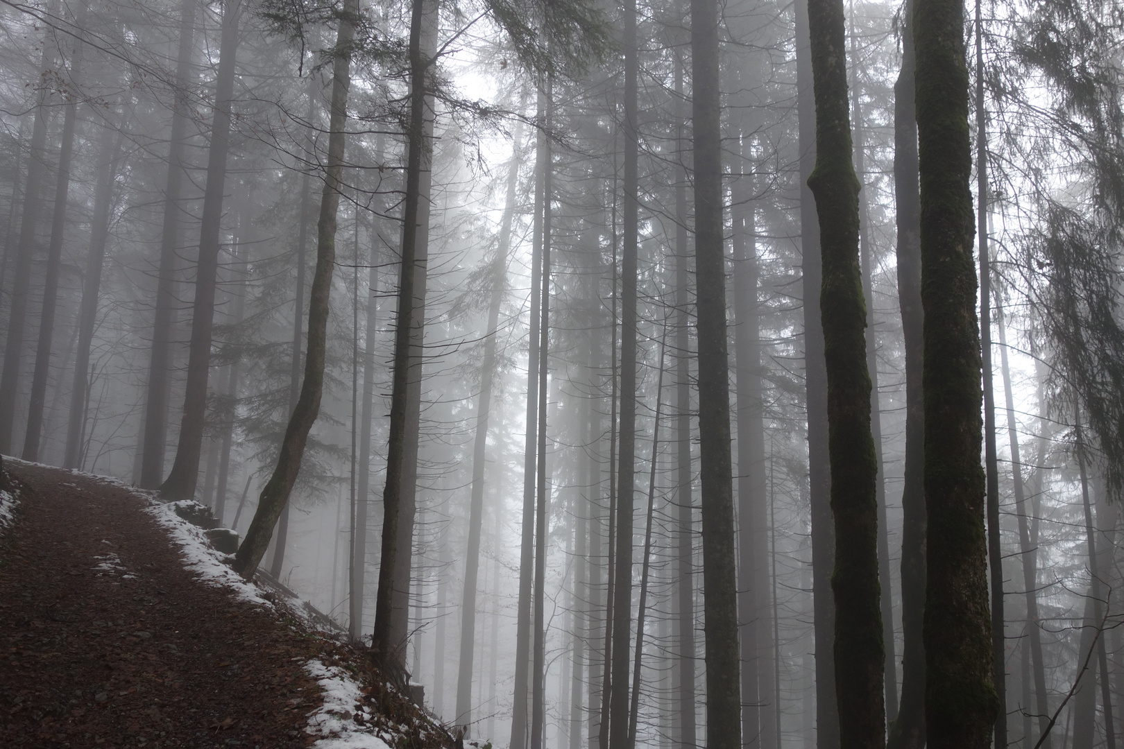 Geheimnisvoller Nebel