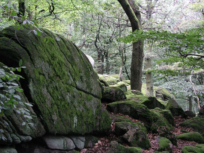 ... geheimnisvoller Odenwald ...