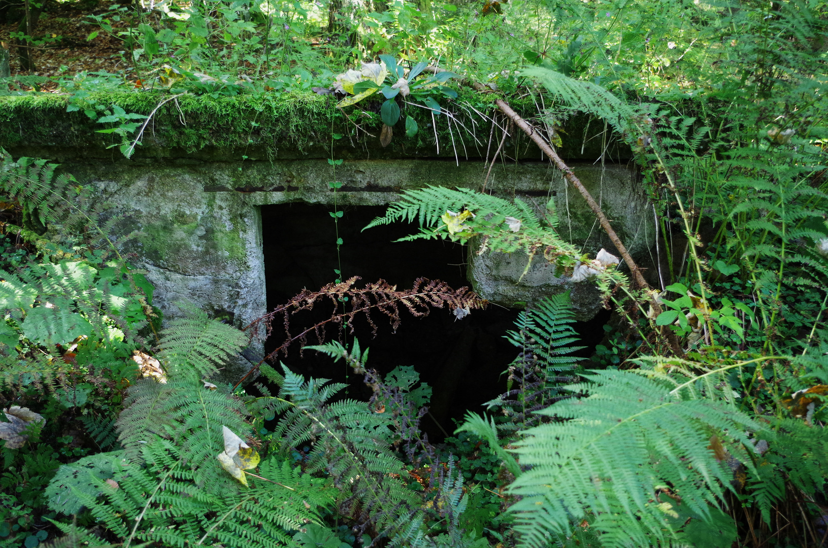 Geheimnisvoller Ort mitten im Wald