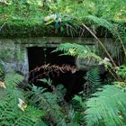 Geheimnisvoller Ort mitten im Wald