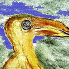 geheimnisvoller Vogel - mysterious bird