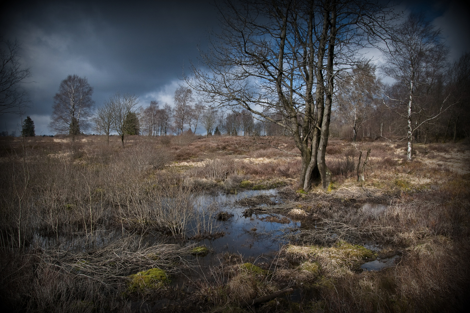 geheimnisvolles Moor