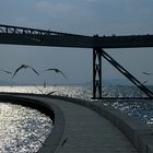 Gehen, Fliegen, Segeln ... - ... am und übers Wasser ... - Träume des Menschen