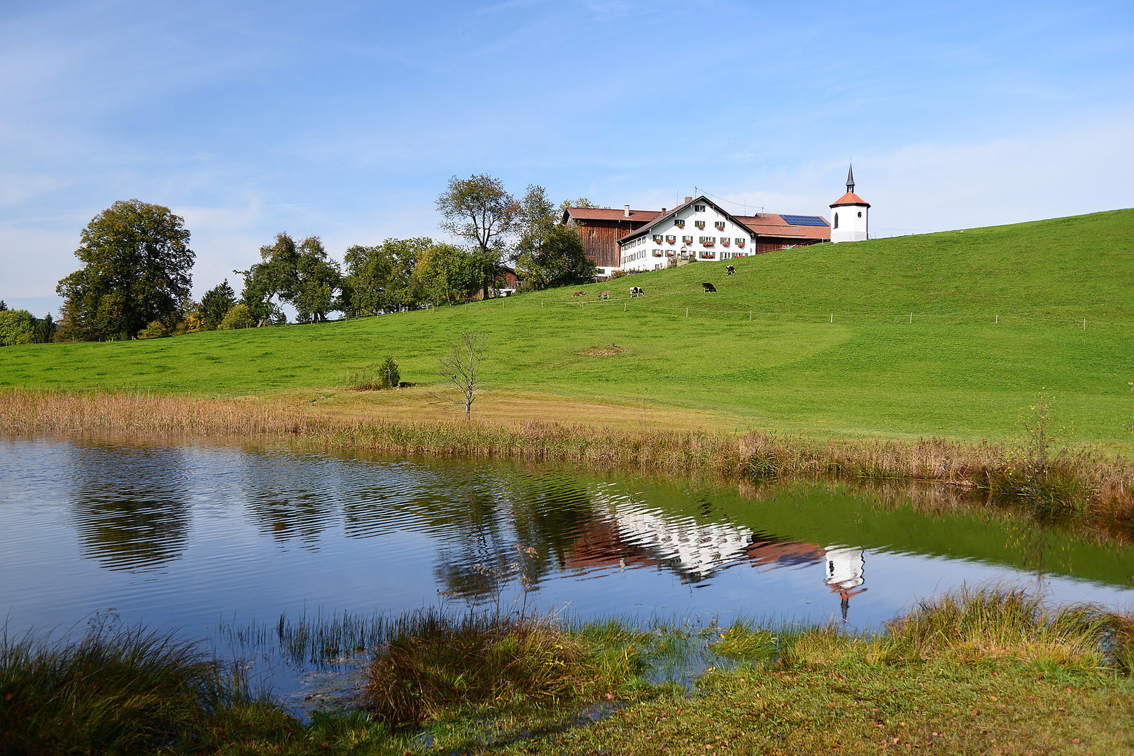 Gehöft am Hegratsried See. Ostallgäu.