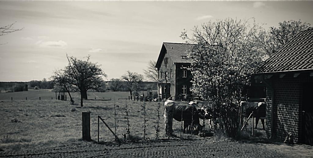 Gehöft im Mai