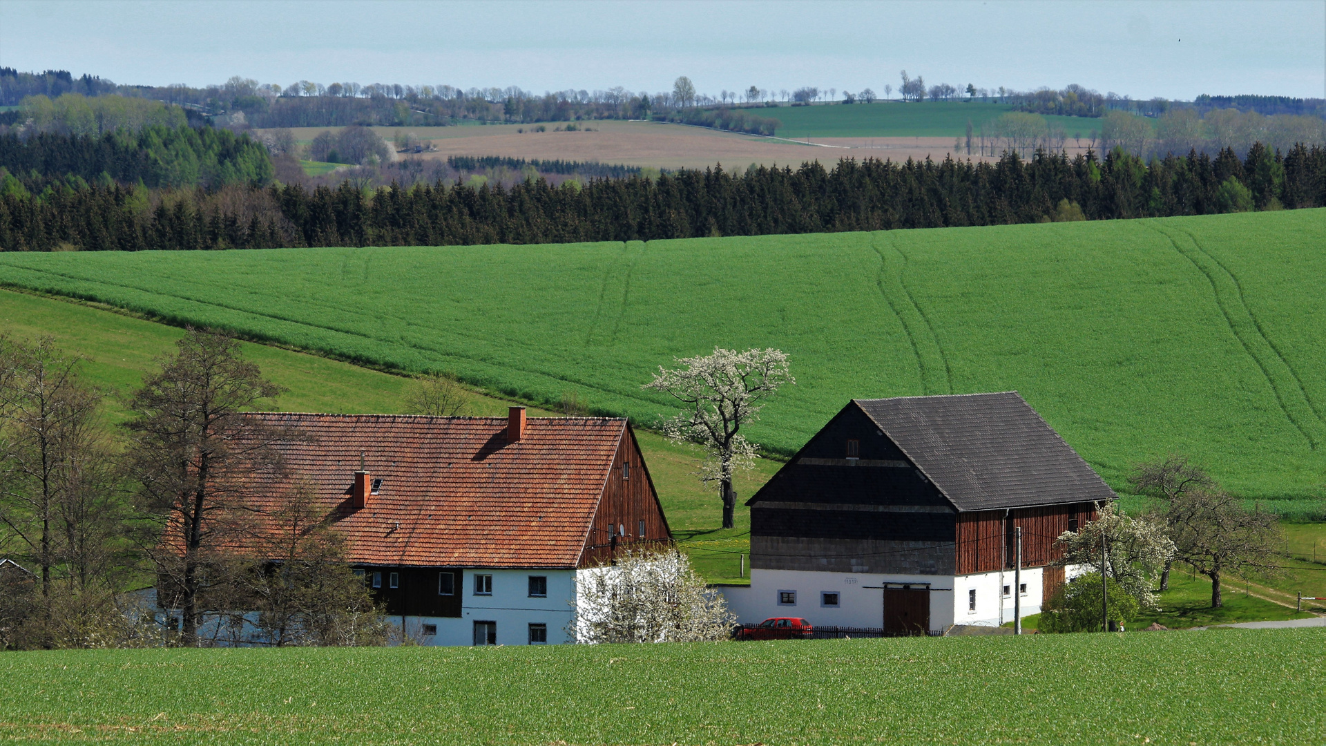 Gehöft mit Birnbaum