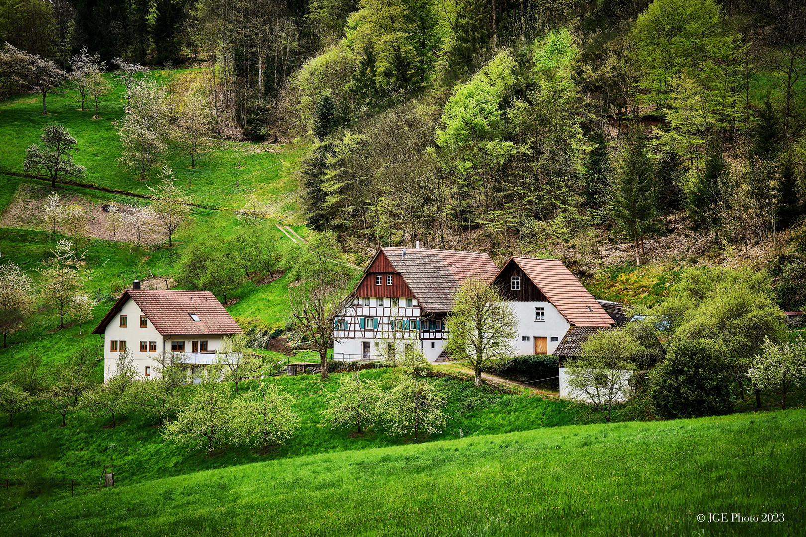 Gehöfte am Mühlenwanderweg Ottenhöfen (Ortenau-Kreis)