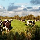 Gehören in Ostfriesland einfach dazu.......