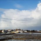 Gehörnte Lachwolke im Blau