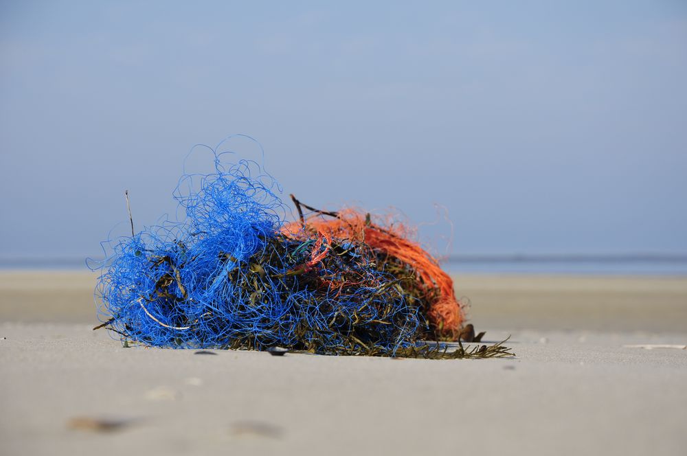 Gehört so etwas ins Meer???