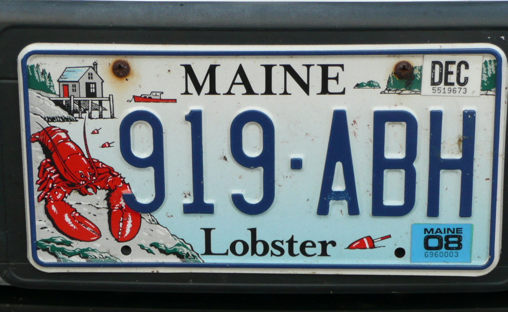 Gehört unverwechselbar zum US-Staat Maine, der "Lobster".