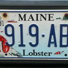 Gehört unverwechselbar zum US-Staat Maine, der "Lobster".