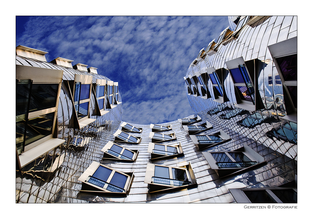 ~ Gehry 1 ~