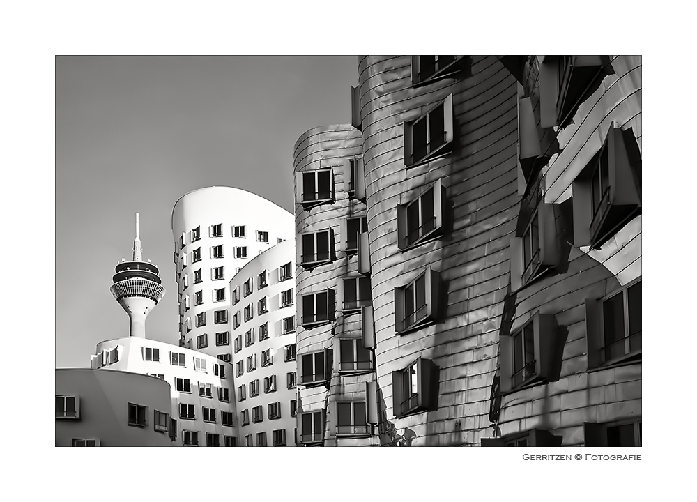 ~ Gehry 3 ~