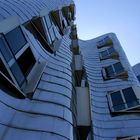 Gehry Bauten