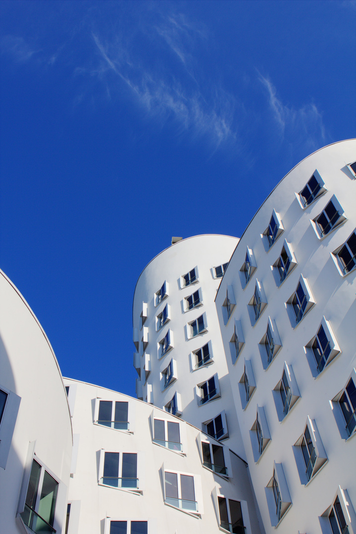 Gehry-Bauten - Neuer Zollhof, Düsseldorf