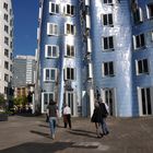 Gehry-Bauten Vorderansicht 1