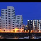 Gehry by Night