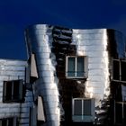 gehry