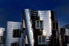 gehry