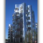 Gehry Haus