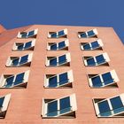 Gehry Haus Fensterfront