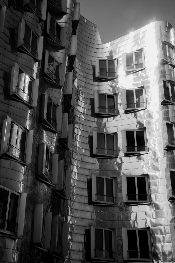.gehry in b/w.