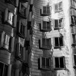 .gehry in b/w.