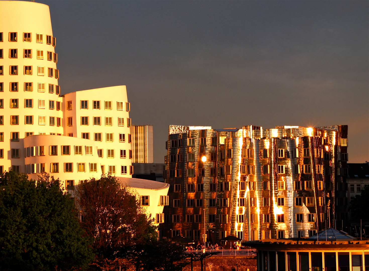 Gehry in Gold