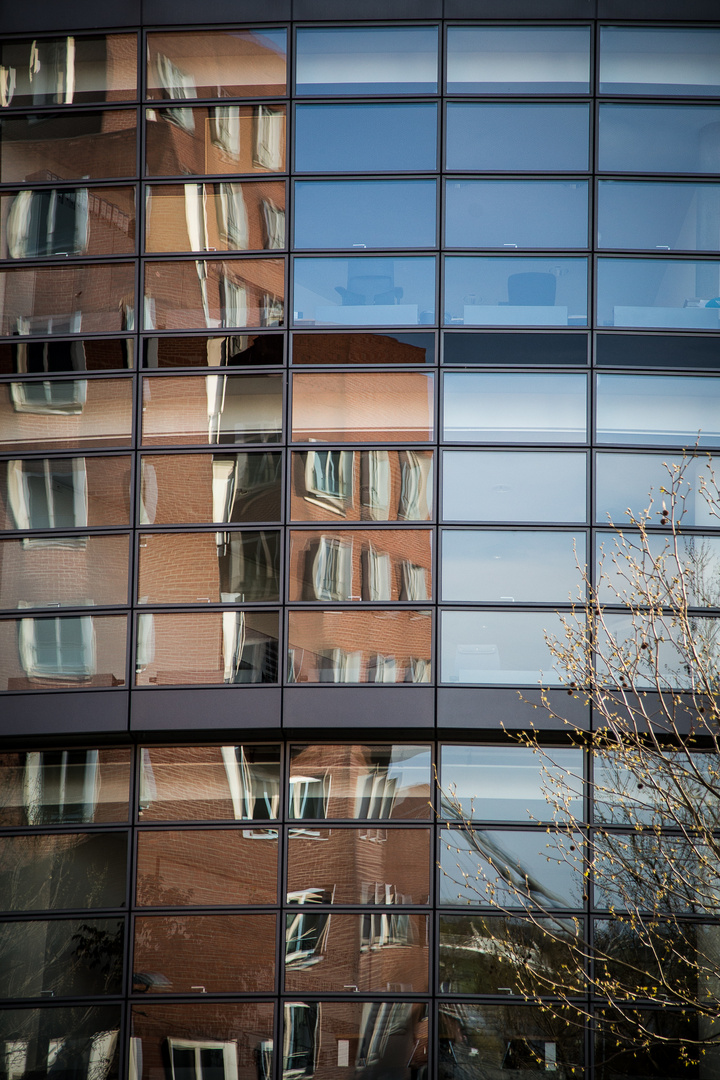 Gehry in the mirror