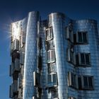 Gehry Reflex