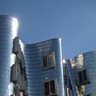 Gehry silver