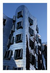 Gehry VII