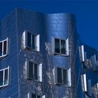 Gehrybau zur blauen Stunde