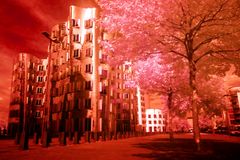 Gehryhaus im Düsseldorfer Medienhafen in rot