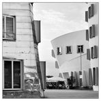 Gehrys Biergarten -II-