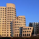 Gehry's Meisterwerke