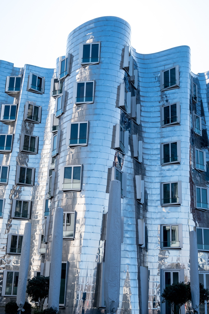 Gehry`s realisation