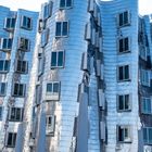 Gehry`s realisation