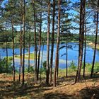 Gehspitzweiher bei Neu-Isenburg