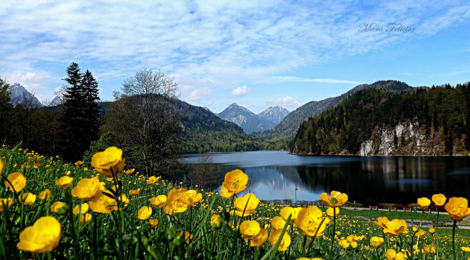 GEHS'T MIT SPAZIER'N........um den Alpsee?