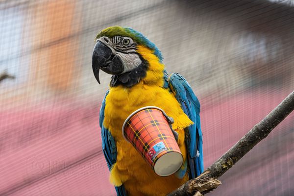 Geht ja gut los, die Woche!