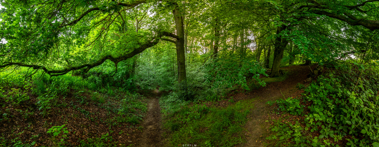 Geht mehr in den Wald !