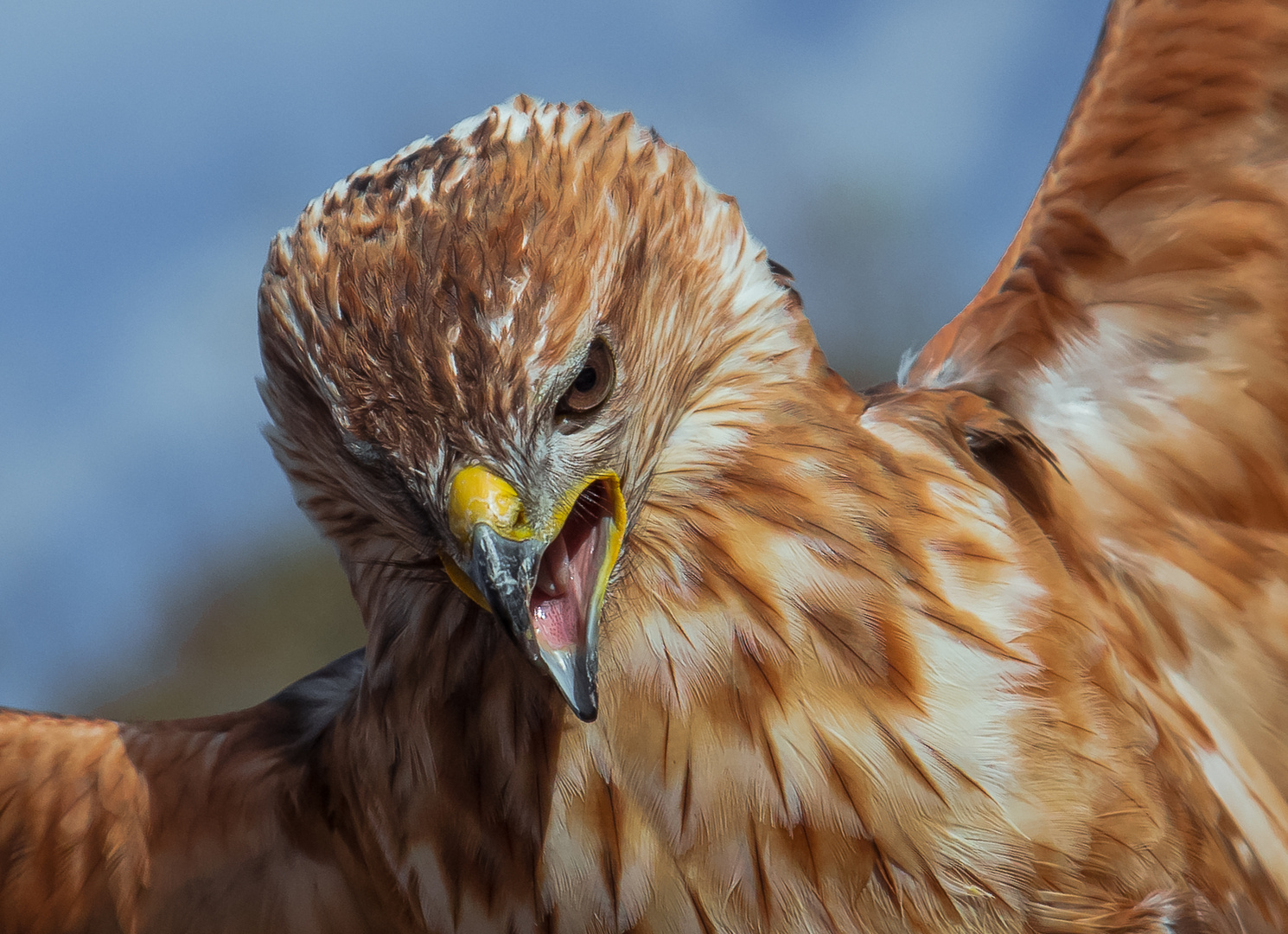 geht mir aus dem Weg! Foto & Bild natur, zoo, tiere Bilder auf