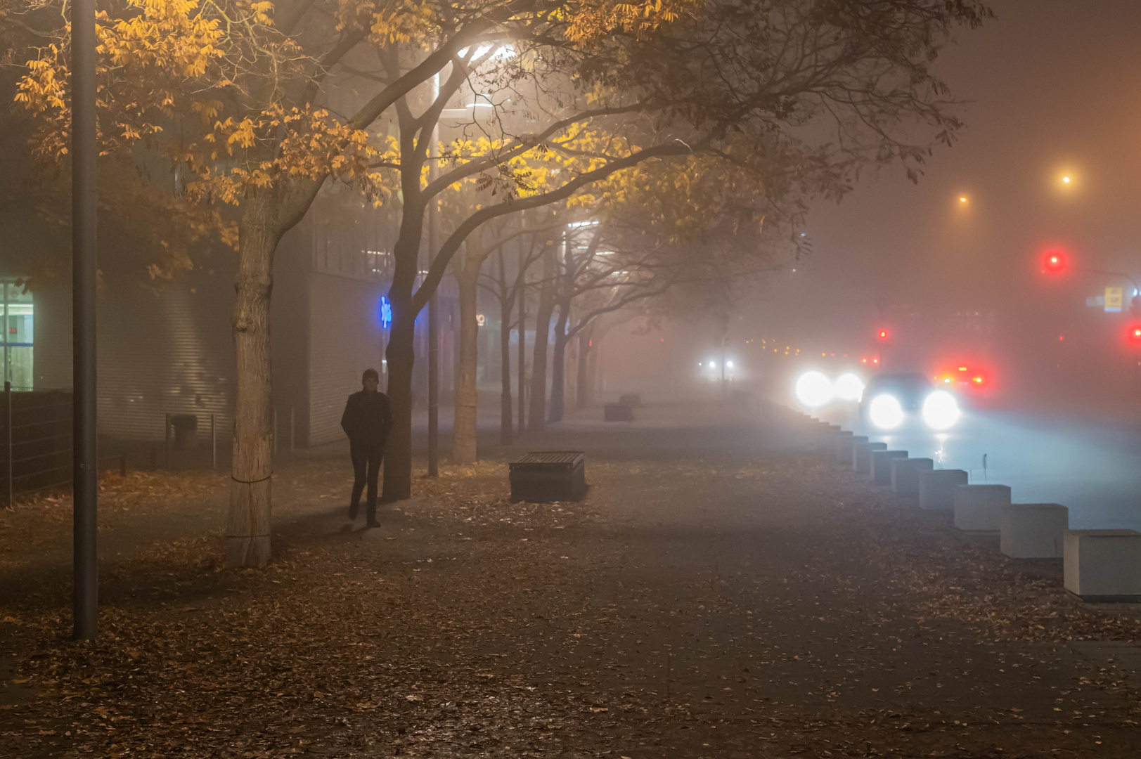 Gehweg im Nebel