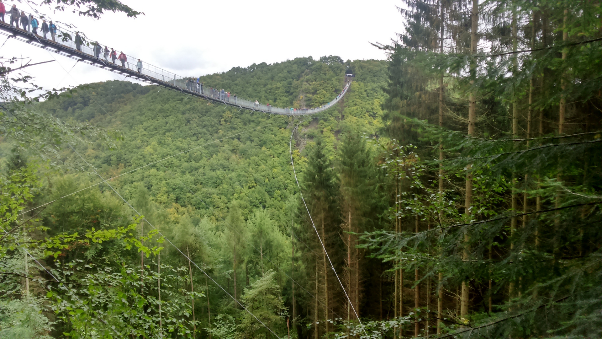 Geierlay-Brücke