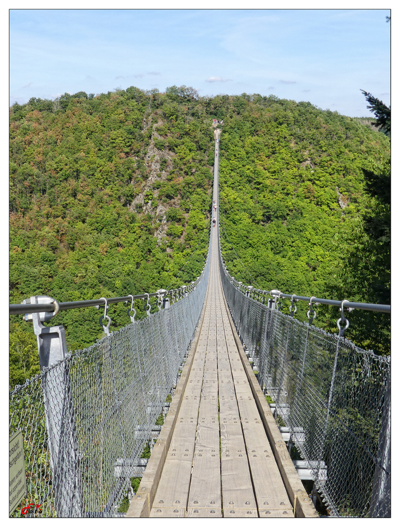 Geierlay Hängebrücke 1