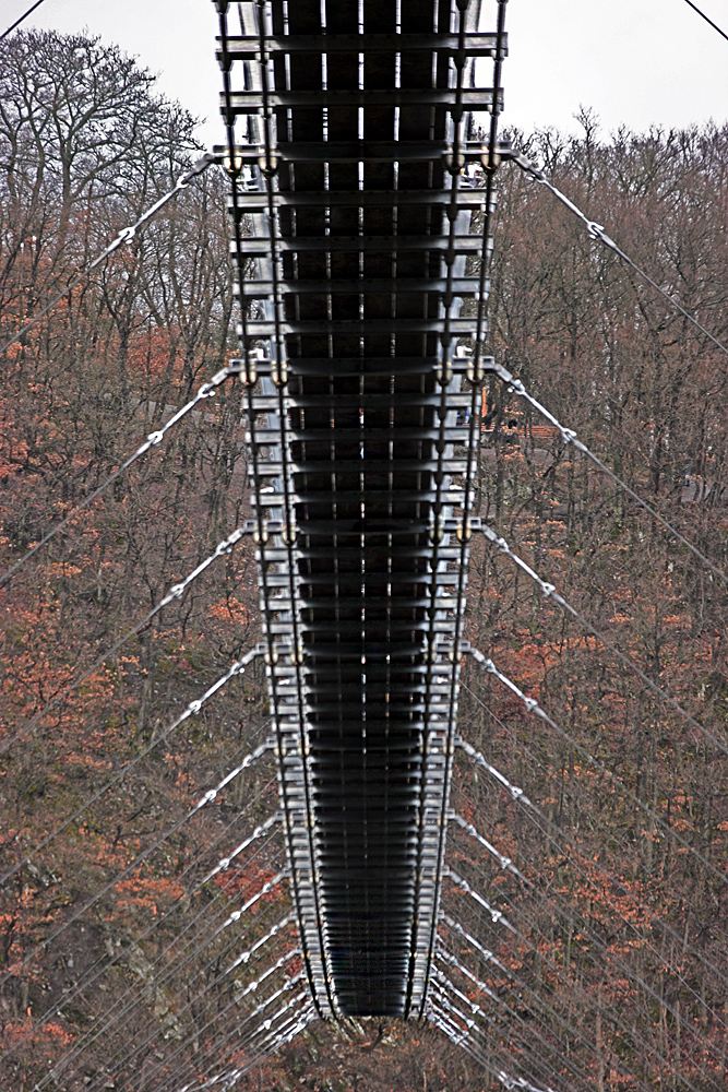 Geierlay Hängebrücke